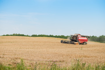 combine harvester on a wheat field with blue sky