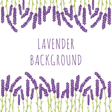 Lavender floral background