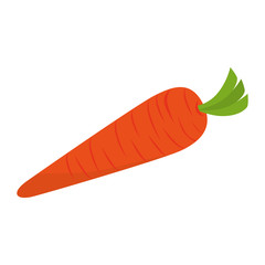 carrot vegetable natural icon vector graphic