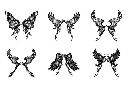 Set of Wings , isolated on white background