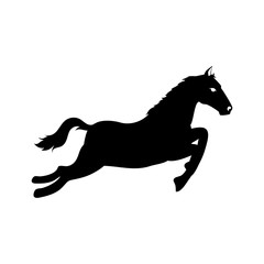 Fototapeta na wymiar horse ride equine icon vector graphic