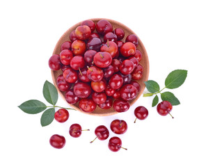 plum isolated on  white background