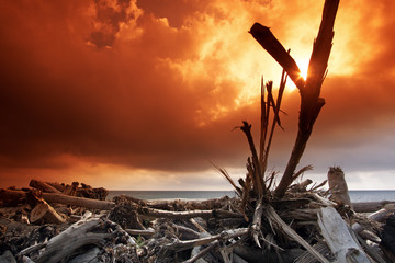 Littoral Corse Apr&egrave;s la temp&ecirc;te