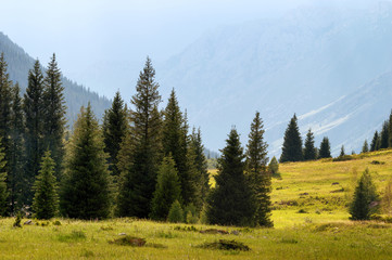 Fototapeta na wymiar Kora gorge in Dzungarian Alatau mountains, Kazakhstan 