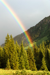 Rainbow in the Dzungarian Alatau mountains, Kazakhstan - 117922346