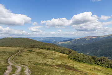 Fototapeta na wymiar Le massif des Vosges
