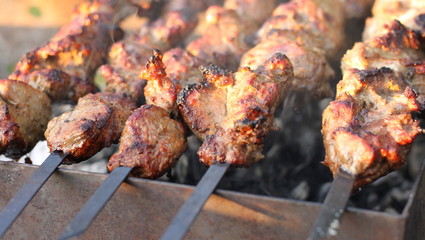 Shashlick laying on the grill closeup