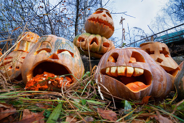 Group of Halloween pumpkin - 117922726