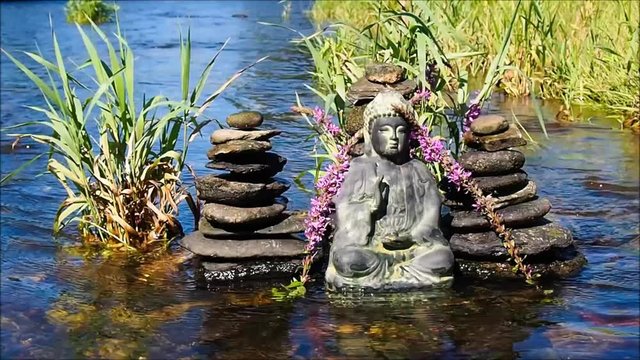 Meditation