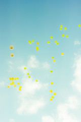 many bright baloons flying in the blue sky