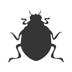 bettle scarab insect icon vector graphic