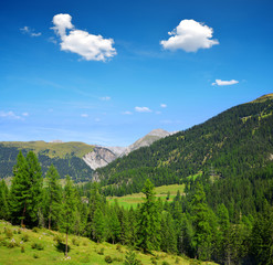 Fototapeta na wymiar Summer landscape in Switzerland Alps - Park Ela, canton Graubunden.