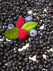 Delicious tart with blueberries and raspberries