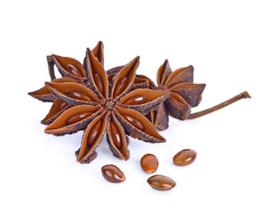 Star anise spice fruits and seeds isolated on white background