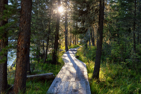 Wooden boardwalk along Rakhmanovskoe lake in East Kazakhstan, Altai mountains 