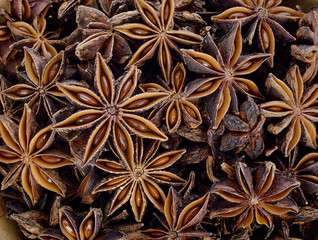 Background texture of several star anise fruits and seeds.