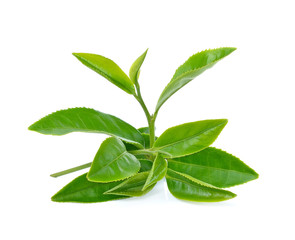 Green tea leaf isolated on white background