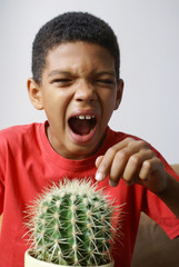 Boy touching cactus.