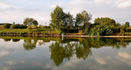 Fototapeta na wymiar trees and reflection in water