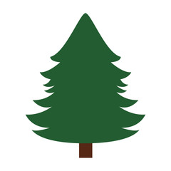pine christmas tree season icon vector graphic