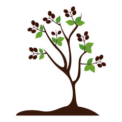 plant tree grain coffee agriculture icon vector graphic