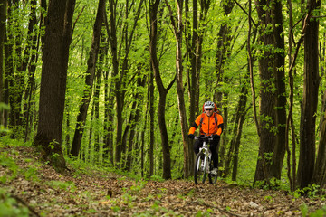 Biker in orange jersey on the forest road