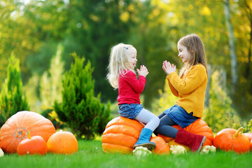 Two pretty little sisters having fun together on a pumpkin patch - obrazy, fototapety, plakaty