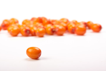 .Sea-buckthorn berries