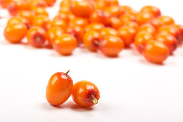 .Sea-buckthorn berries