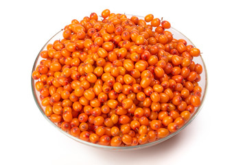 Sea-buckthorn berries