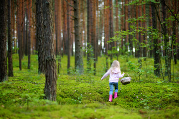 Adorable little girl picking foxberries in the forest