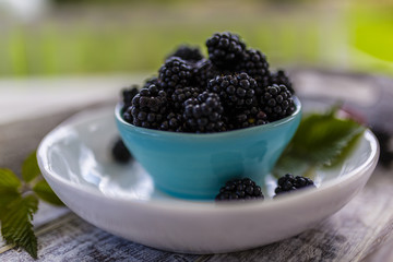 Fresh blackberries in bowl