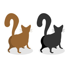 Cat Back. Pet escapes. Funny animal with bushy tail