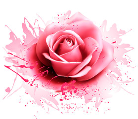 Greeting card with pink rose. Vector