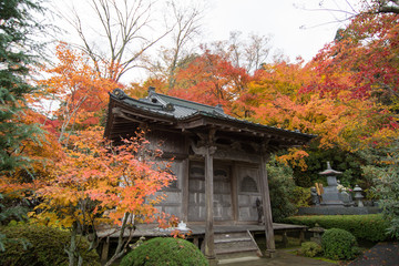 永源寺の紅葉