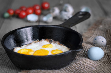 Fried quail eggs in a skillet