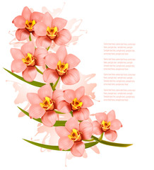 Group of beautiful pink orchid flowers. Vector.