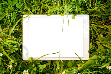Tablet PC with blank screen in green herbs. Top view, clipping path over copy space included