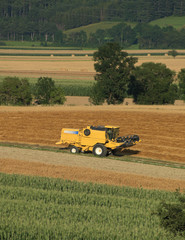 Fototapeta premium Harvesting of field in Austria countryside