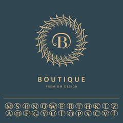 Flourishes art logo design. Letter B. Graceful template. English alphabet. Calligraphic vector elements
