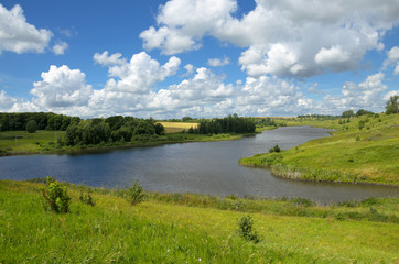 Sunny summer landscape
