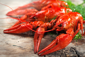 Crawfish. Red boiled crayfish on a wooden table in rustic style, close-up