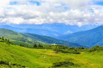 Fototapeta na wymiar Bright, picturesque Carpathian mountains landscape. Chornogora ridge, Ukraine, Europe.