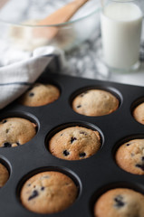 Blueberry muffins with milk
