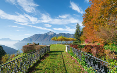 Autumn park in the Swiss mountains.