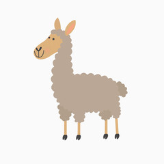 Illustration of cute lama