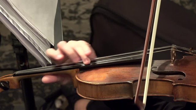 Playing  string instruments (violin, viola) in a symphony orchestra.