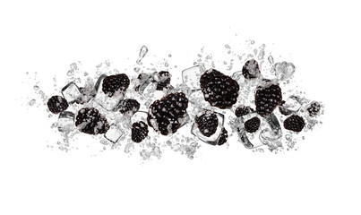 blackberries in water splash on white background