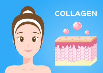 collagen vector icon . collagen with skin and model