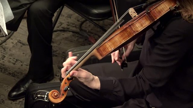 Playing  string instruments (viola) in a symphony orchestra.